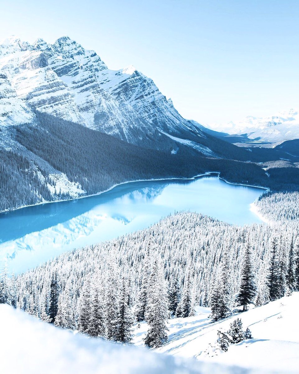 earth's tweet photo. Winter wonderland in Banff, Alberta. https://t.co/jHdTtQeqt1