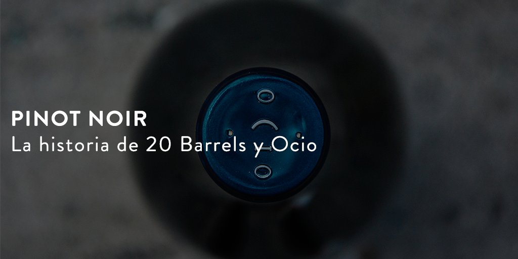 ConoSurWines's tweet photo. ¿Te gusta el #PinotNoir? Conoce un poco más sobre la historia detrás de los mejores vinos Pinot Noir de Cono Sur, 20 Barrels &amp; Ocio. >> https://t.co/Kjekl5LORU

#vino #amantesdelvino #vinochileno #hoysetomavino #nosgustaelvino #winelover https://t.co/7VZbm1lhg0