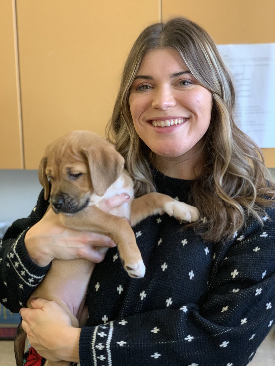 prairie pitbull rescue