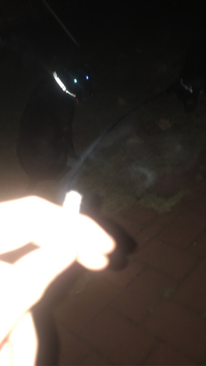 Sir Alex the III tweet media