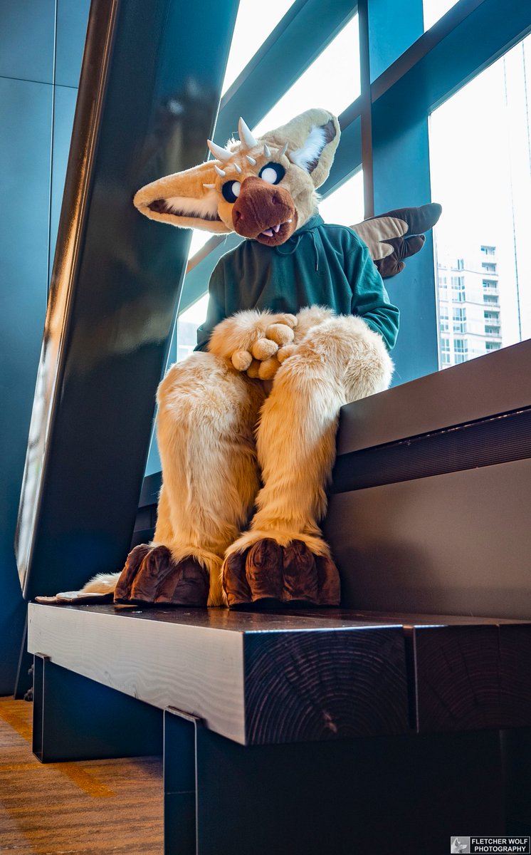 Lo Fi The Dutch Angel Dragon Happy Fursuitfriday Fluffy Friends Squeak Thatmanedwolf Go Follow Them Dutchangeldragon Fursuit Furry Anw19 Anthronorthwest19 T Co Hie6zhgkpw