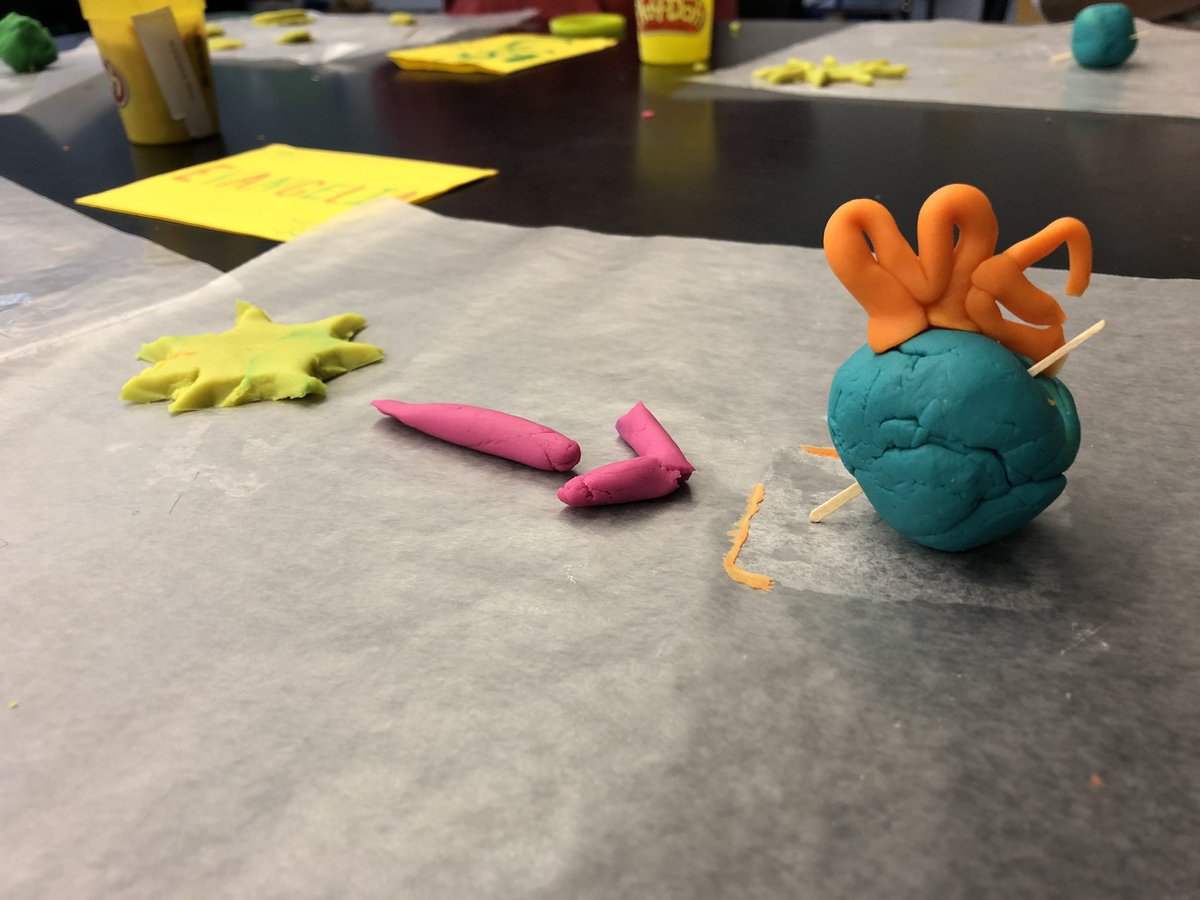 Hallie Askuvich tweet media