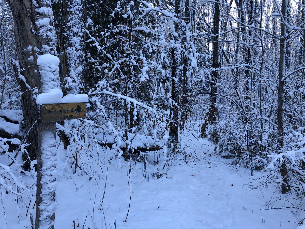 Thank you to the Shaws, and board of directors <a href="/ShawWoodsOEC/">ShawWoods</a>, for sharing the gem that is Shaw Woods! @RCDSB students continue to enjoy programs and all of your efforts, as does the broader community. So grateful