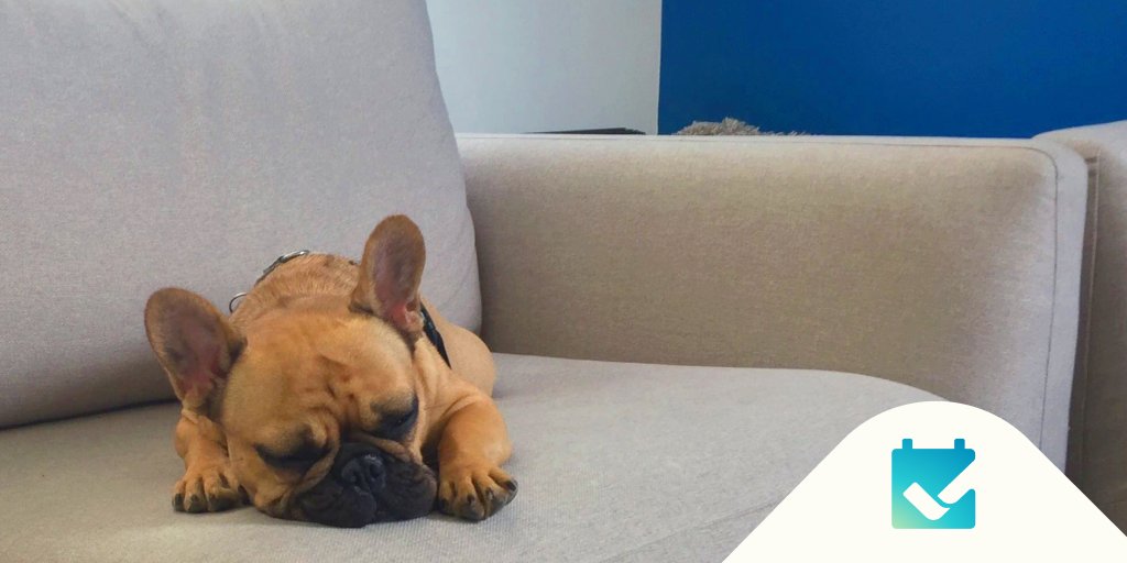 Futurestay's tweet photo. The #Futurestay team doesn't rest when we're building a world that's #AlreadyConnected.
Well, except Chief Barking Officer, Brig.
What are you accomplishing in the last weeks of December?
#Travel #Technology #VacationRentals #EndOfYearGoals @philipkennard https://t.co/uyv2V2iC3l