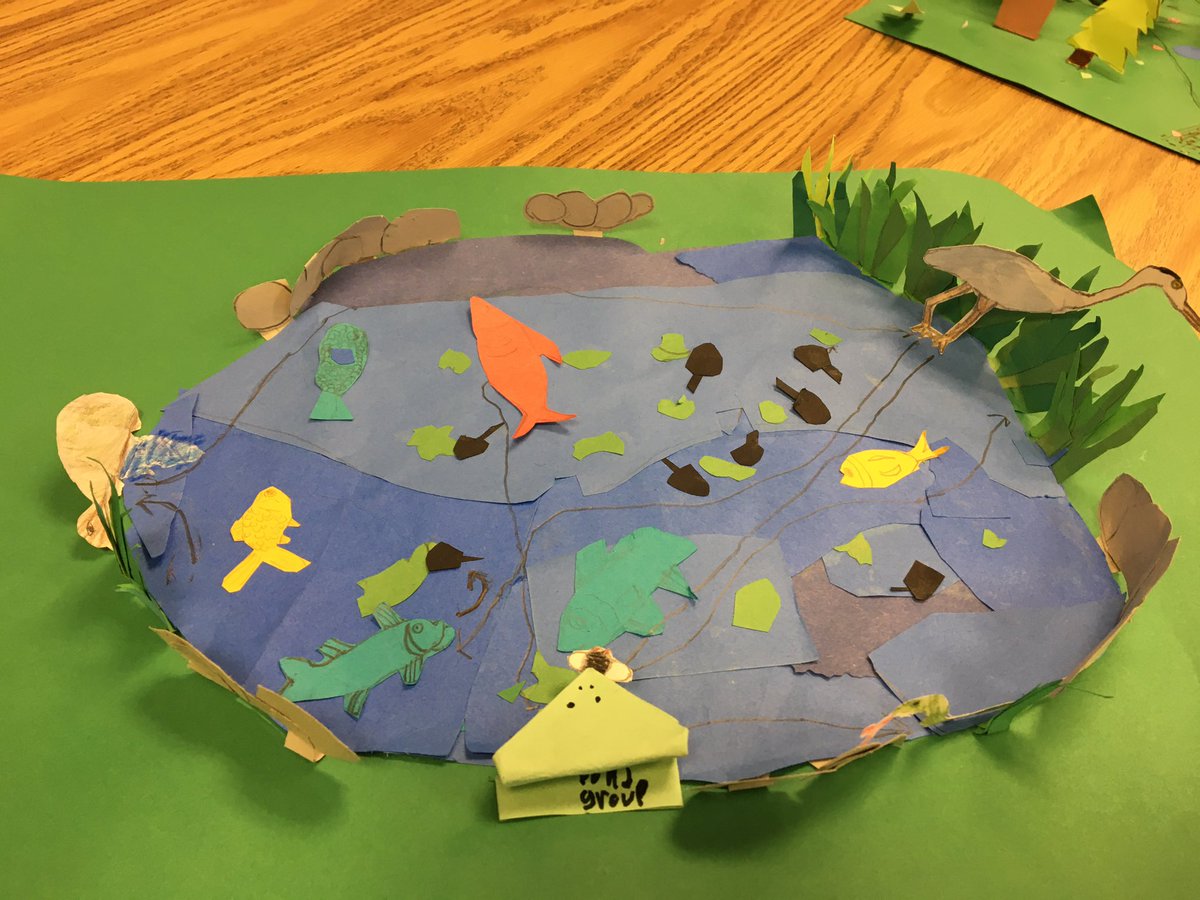 mbutlerclass's tweet photo. Students presented their ecosystem  to their peers showing their understanding of food chains and populations within an ecosystem  @CampbellAPS https://t.co/vbQMWefGBP