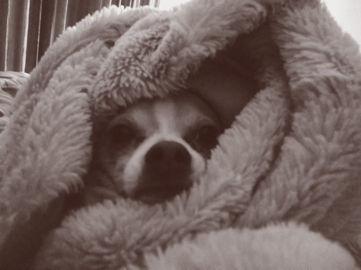 RUSHMORE (@rushmorebeats) on Twitter photo 