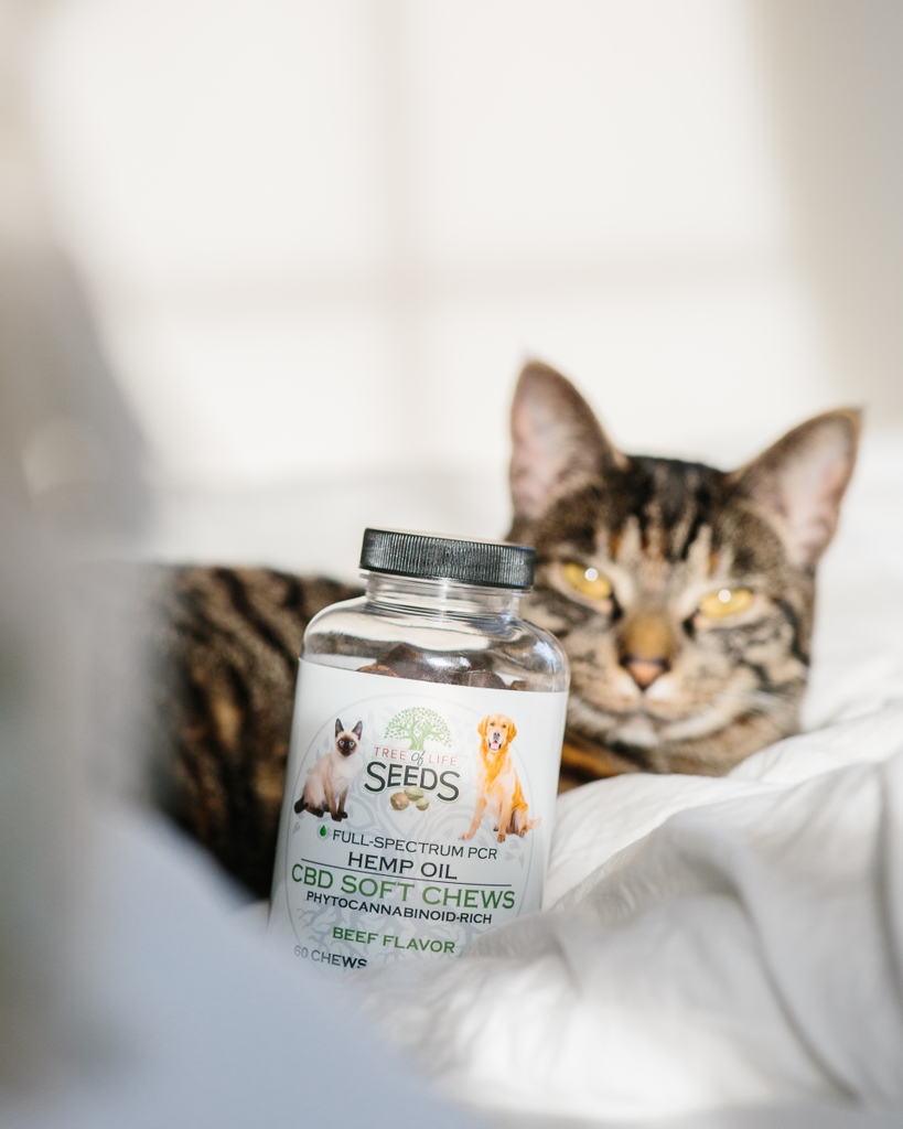 TreeOfLifeSeeds's tweet photo. If you have a stressed out furry friend this holiday season, try CBD! We make tasty chews to help the holidays go a little smoother for our loyal companions. 
#cats #pets  #kitty #kitten #cbd #cbdhelps #TreeofLifeSeeds #cbdhelps #cbdedibles https://t.co/OLVRKzUEzM