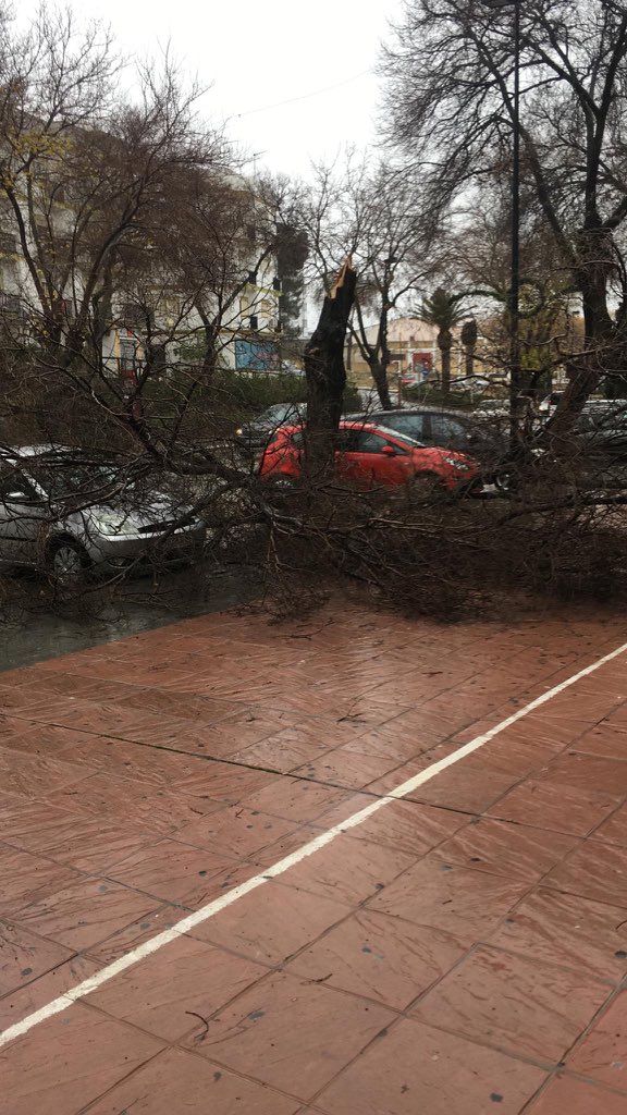 Estepanoticias's tweet photo. Los efectos del temporal en Estepa(sevilla)⛈ https://t.co/QSUOkCIS1N