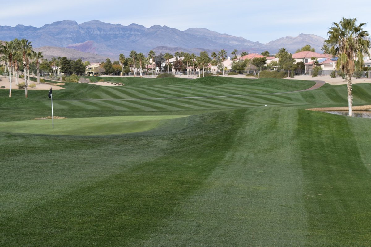 MerchantsTurf's tweet image. We got out to visit ⁦@RhodesRanchGC⁩ this week and they are looking exceptional like usual! The crew does a great job making this place an awesome track to play while in Vegas! #VIP #stripeshow #simplotpartners