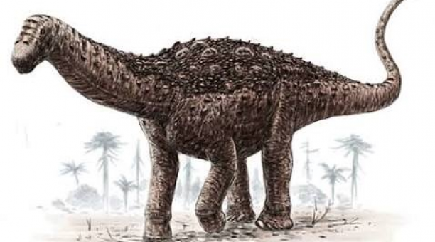 FANelprograma's tweet photo. Nuevo #FANInformativo ℹ️
🦕 Un argentino descubrió el primer dinosaurio de Ecuador
🏊♂️ Juan Ignacio Méndez rompió un récord histórico para la natación argentina
🤖 Marcos Bruno, el argentino que participó en la construcción de un robot para la @NASA https://t.co/ugA4TDEDMx