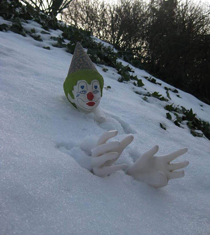 qlowntine's tweet photo. If you’re cold they’re cold 
BRING THEM INSIDE https://t.co/8qTvrccVpd
