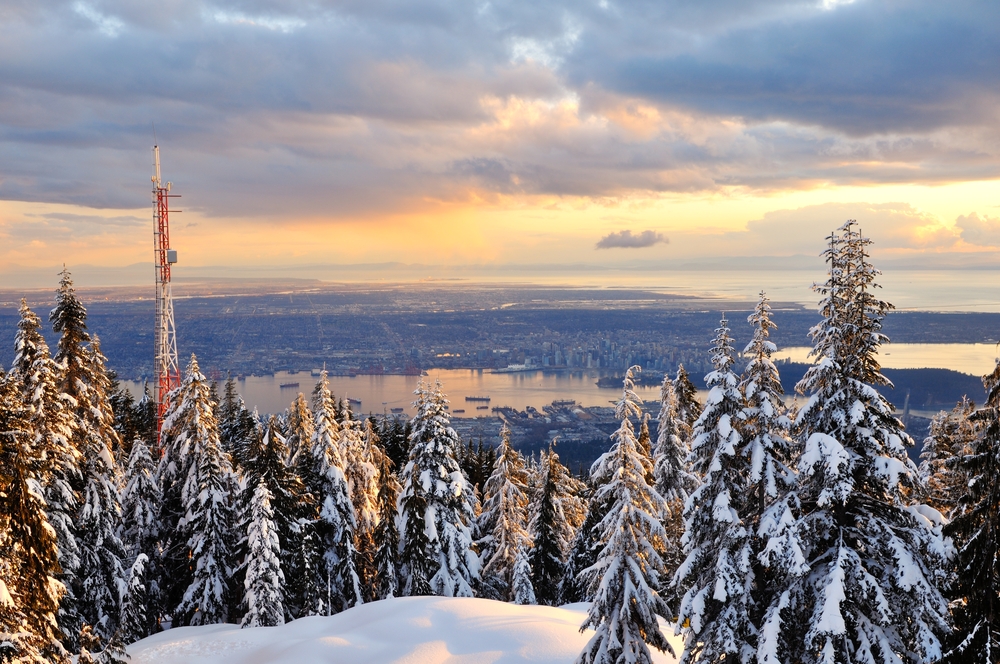 ShoreExcursions's tweet photo. See all of Vancouver &amp; more on our incredible "Vancouver Highlights" tour to see Canada's most visited &amp; exciting cities. Stop to explore Stanley Park &amp; Granville Island, as well as Vancouver Lookout on your incredible Vancouver sightseeing tour! #Cananda #Vancouver #excursions https://t.co/kavl8B4yb3