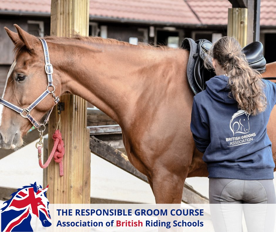 🐴Have you taken a look at our Responsible Groom course yet❓ The difference between good grooms and great grooms is an eye 👁 for detail and desire to learn, so what are you waiting for⁉️ Find out more here: bit.ly/36uxUUf #ABRS #LingfieldEquineDistanceLearning