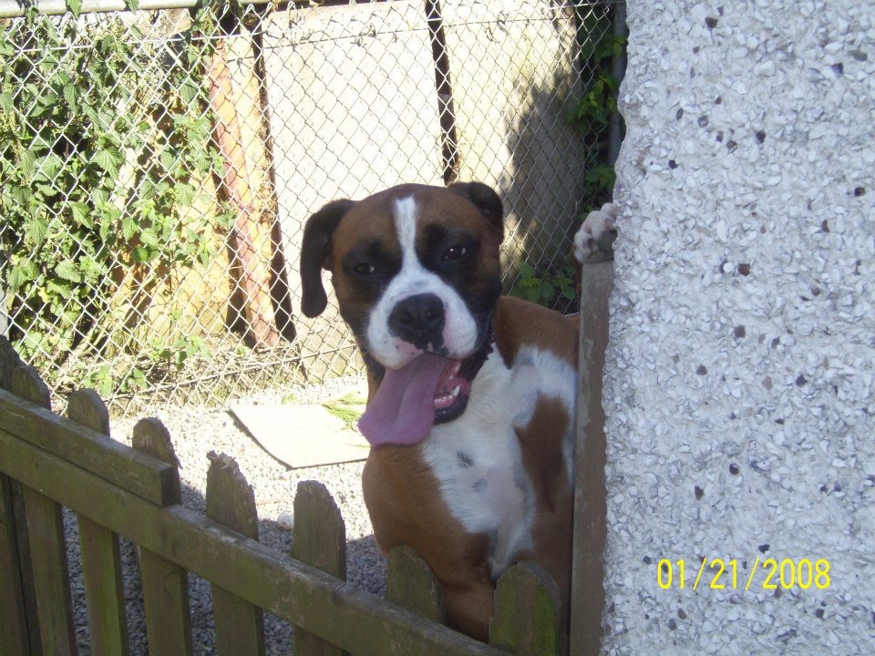 Barry O'Sullivan 20 🏆 6🏆 tweet media