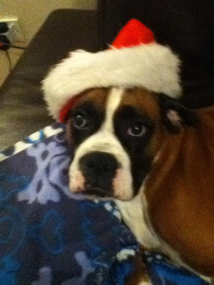 Barry O'Sullivan 20 🏆 6🏆 tweet media