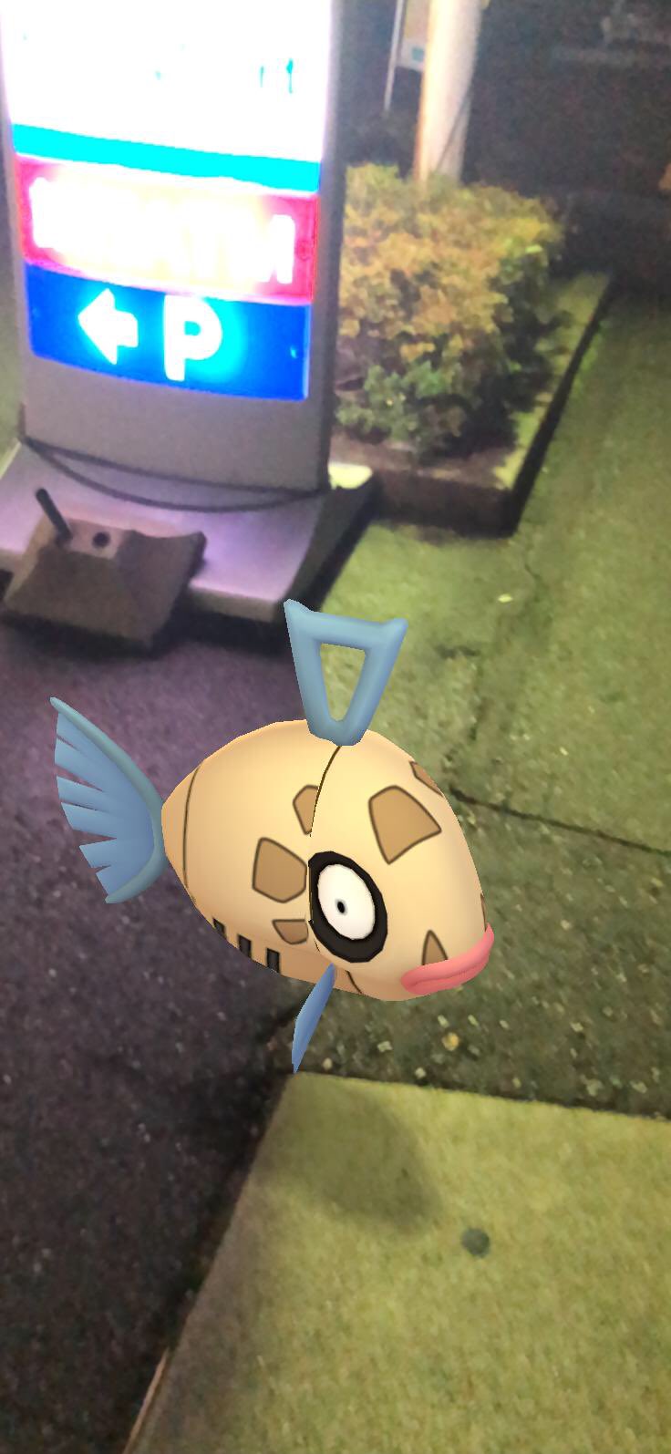 相棒と冒険 Twitter Search Twitter