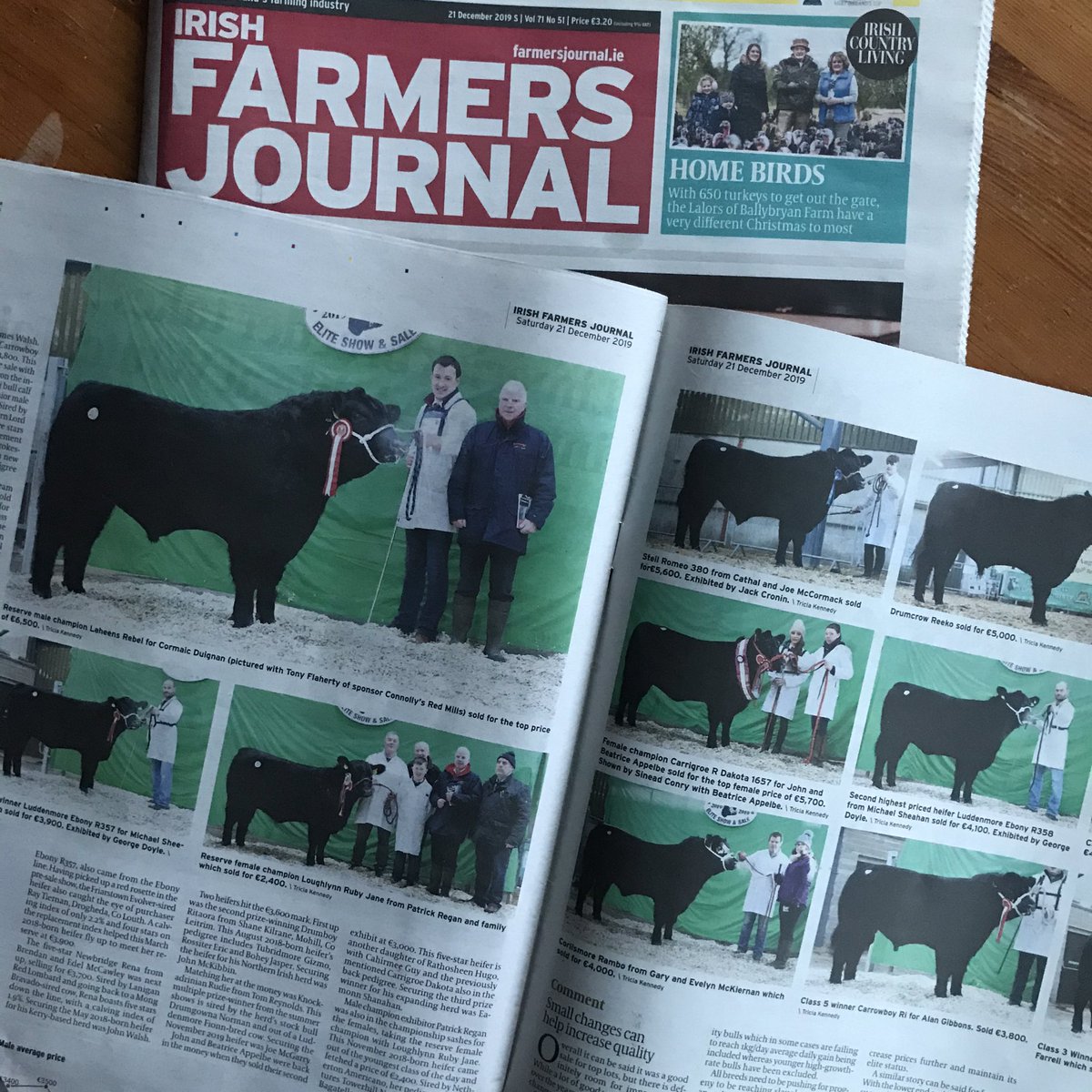 Kilsunny_Herd's tweet photo. Terrific to see 3 of the 4 pages in this week’s @farmersjournal pedigree section completely devoted to the Irish Angus Premier; the future is very bright indeed for the traditional beef breeds 😎
#keepittraditional #thanksIFJ https://t.co/xLryGSRBut
