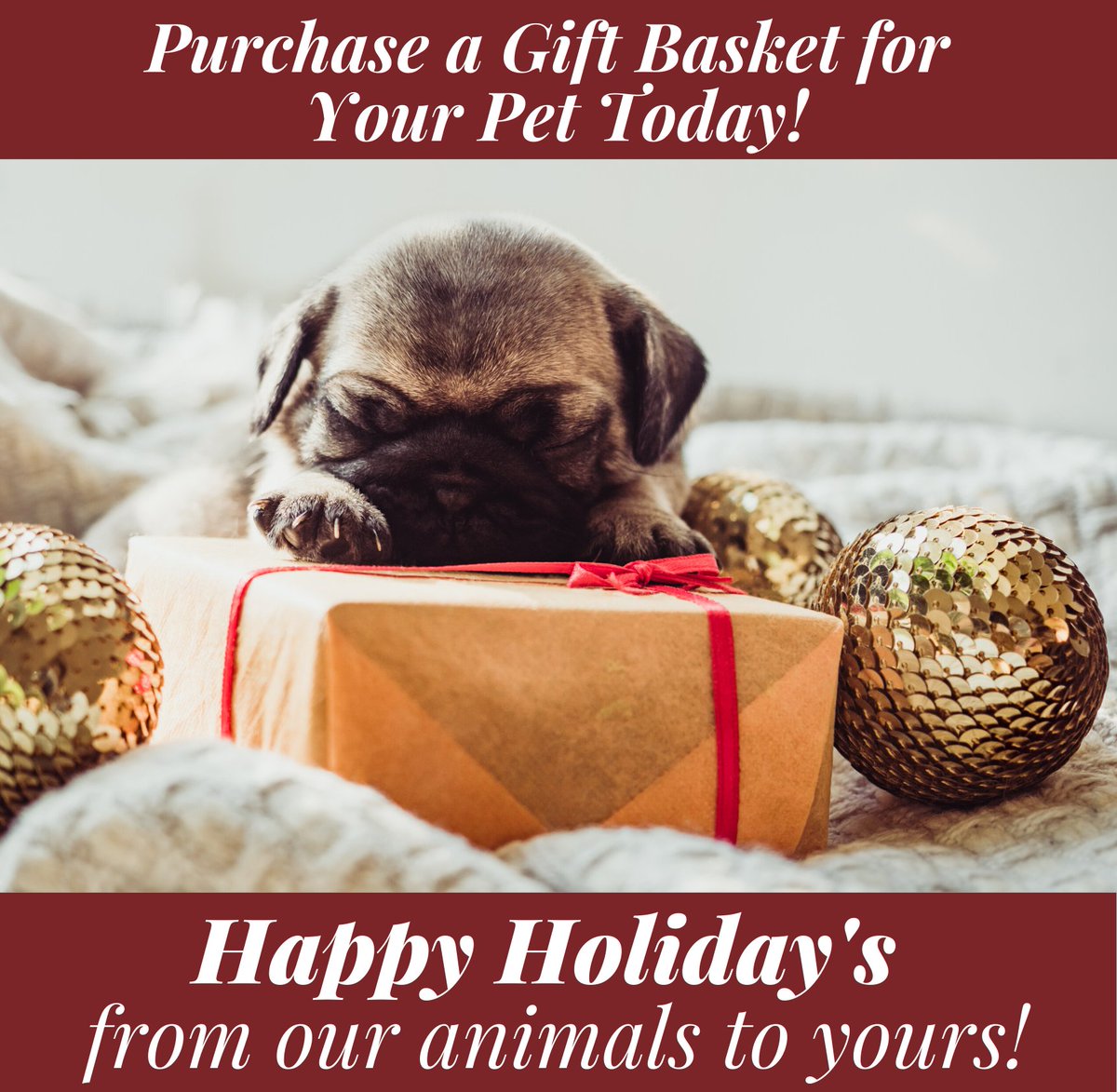 Last minute holiday shopping? We've got you covered!
Stop by the Centre today and check out our dog gift baskets for sale! The prices range from $15.00 to $30.00 and are a paw-some way to say thanks to your furry friend at home.