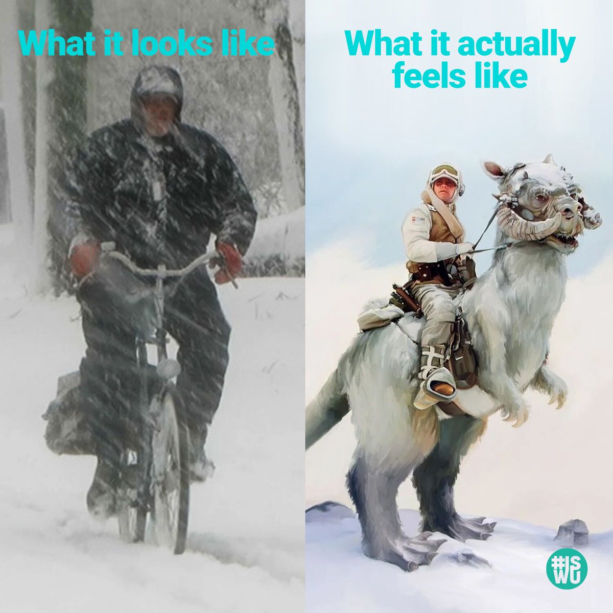 In honor of the new <a href="/starwars/">Star Wars</a> movie premiere, we salute all of you snow Jedis out there staying sustainable in sub-zero temps. May the force be with you.

#StarWars #StarWarsPremiere #ItStartsWithUs #MayTheForceBeWithYou