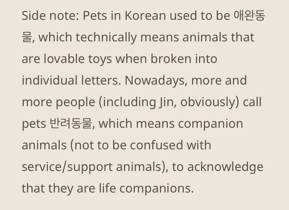 For Jin, his pets were his companions. Doolset explains that in Korea, many people have more recently been referring to their pets as life long companions instead & Jin is one of those people #BeyondTheLyric