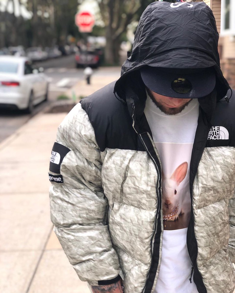 supreme the north face 紙ヌプシ