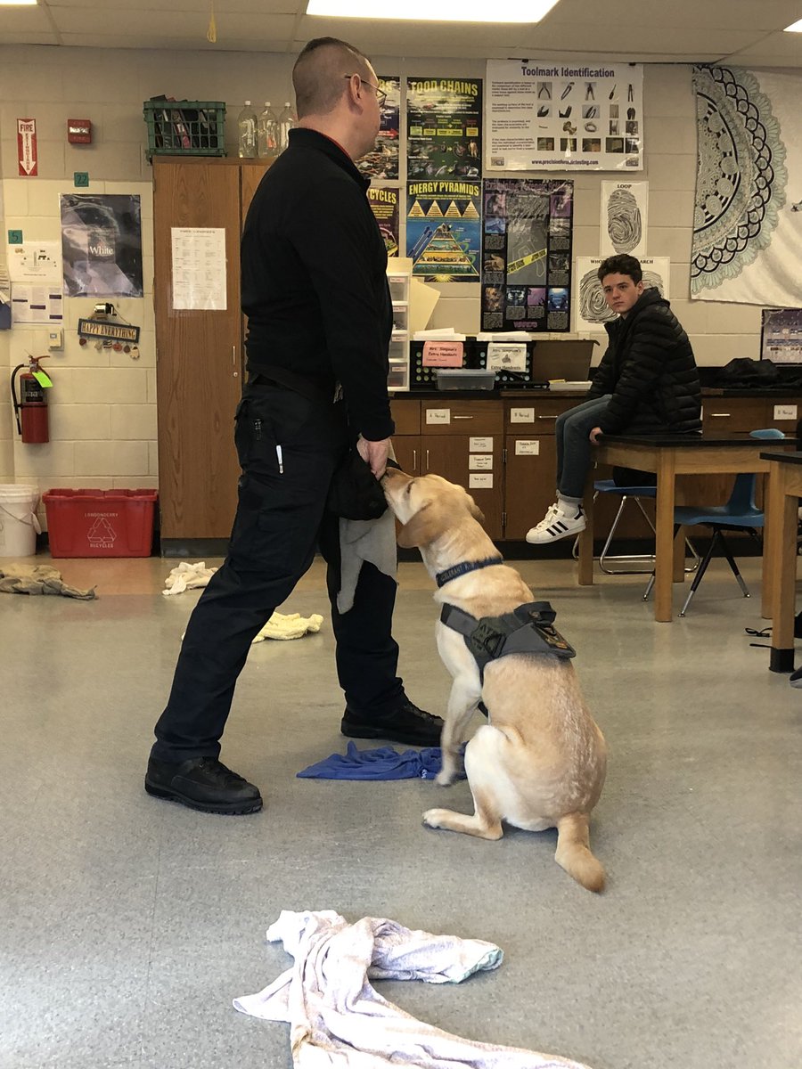 Ksimpson_LHS's tweet photo. Forensics students learning about arson investigation with Cy, an accelerant detecting dog. #servicedog #forensicscience #fireinvestigation https://t.co/HgM3wfP3GE