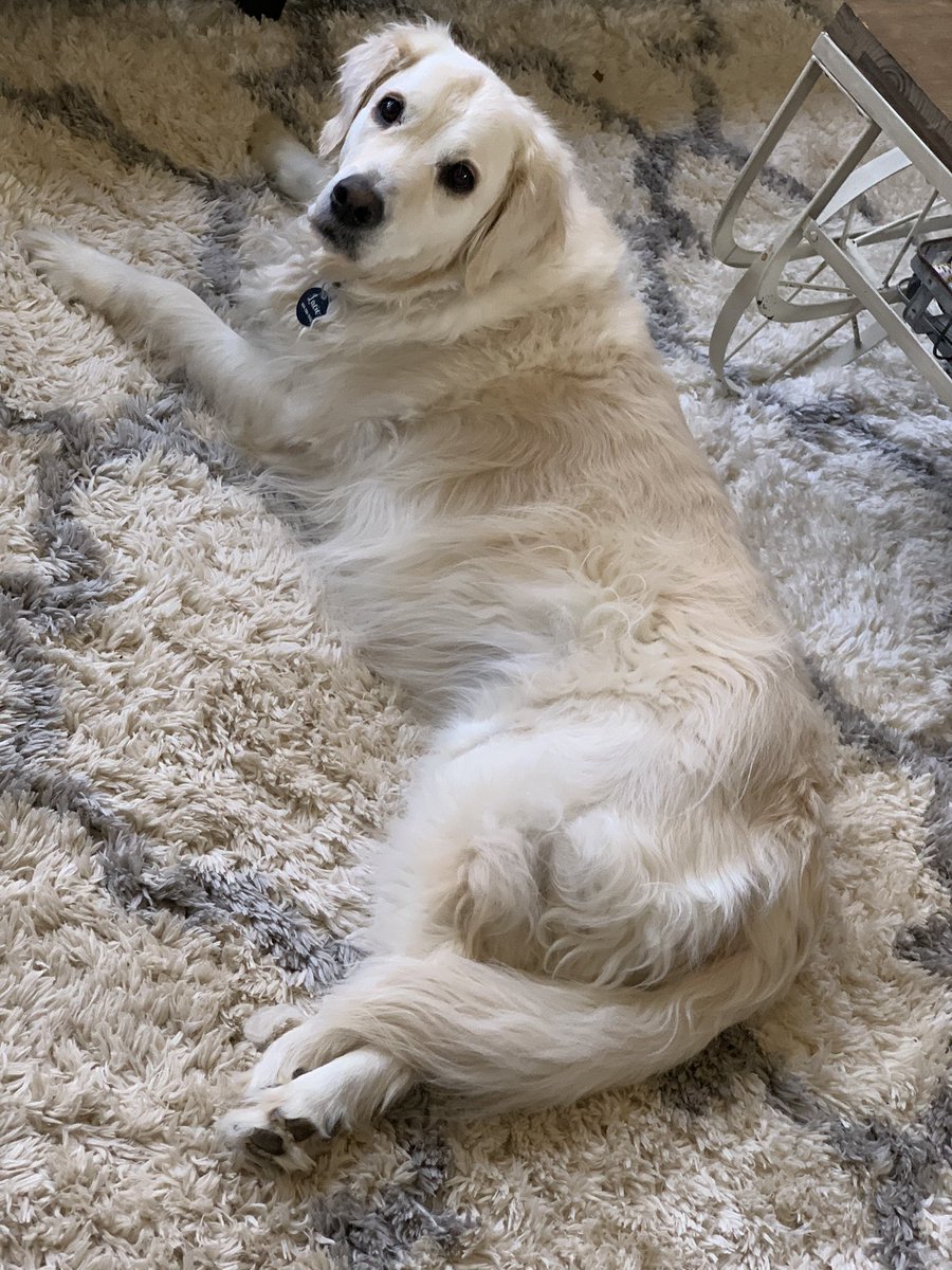 SecDoggy tweet picture