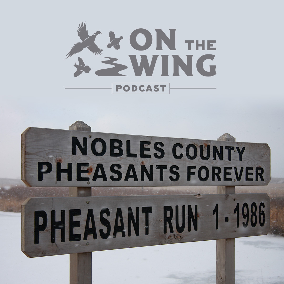 pheasants4ever's tweet image. NEW ON THE WING PODCAST! How volunteering with Pheasants Forever created lifelong friendships and hunting buddies bit.ly/2PJitC2 w/ @quail4ever @ScottWRoemhildt #TheHabitatOrganization