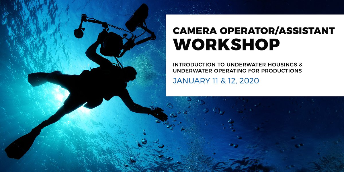 If interested, please contact us at marketing@fusioncine.com.

#Underwater #Workshop #UnderwaterOperator #RedCamera