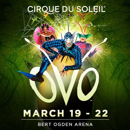 lunacoffeeh's tweet photo. Rush headlong into a new ecosystem and immerse yourself in the world of insects, teeming with joy and amazement. OVO by Cirque du Soleil is coming to Bert Ogden Center from March 19th through March 22nd Get your tickets at https://t.co/wUP2mhcJGS and use code HDAY19 for 30%off! https://t.co/I8SBp5cHe2