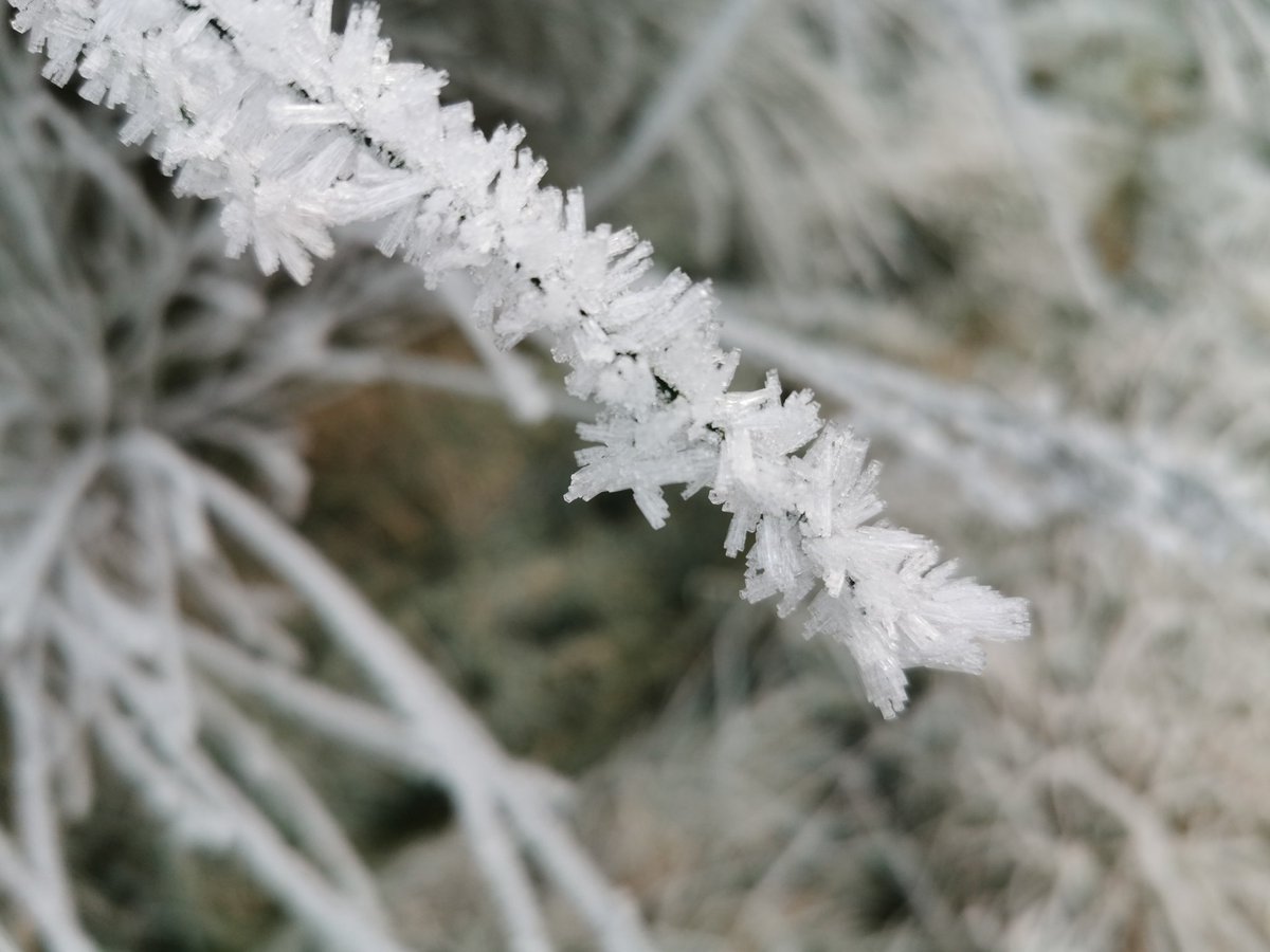 EwanGoesHiking's tweet photo. Frost is art.
-
-
#aberfoyle #frosty #frosty #frostyday #benaan #views #doonhill #fairytrail #spiderweb #scenery #scenic #nature #hiking #walking #Outdoor #Backpacking #scotland #scottish #hikinginscotland #camping #mountains #ewangoeshiking #visitscotland #gooutdoors https://t.co/lgUIiEbPhJ