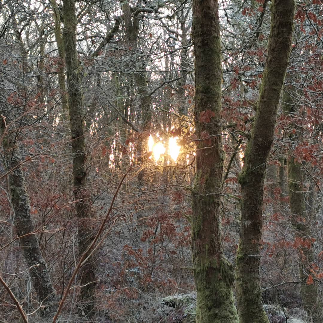 EwanGoesHiking's tweet photo. Frost is art.
-
-
#aberfoyle #frosty #frosty #frostyday #benaan #views #doonhill #fairytrail #spiderweb #scenery #scenic #nature #hiking #walking #Outdoor #Backpacking #scotland #scottish #hikinginscotland #camping #mountains #ewangoeshiking #visitscotland #gooutdoors https://t.co/lgUIiEbPhJ