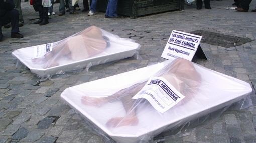 PACMAN86938572's tweet photo. @cocinandocaza Pobre cigüeña. No tenéis perdón! Asesinos! Qué daño os había hecho? https://t.co/nmr6tsVAHV