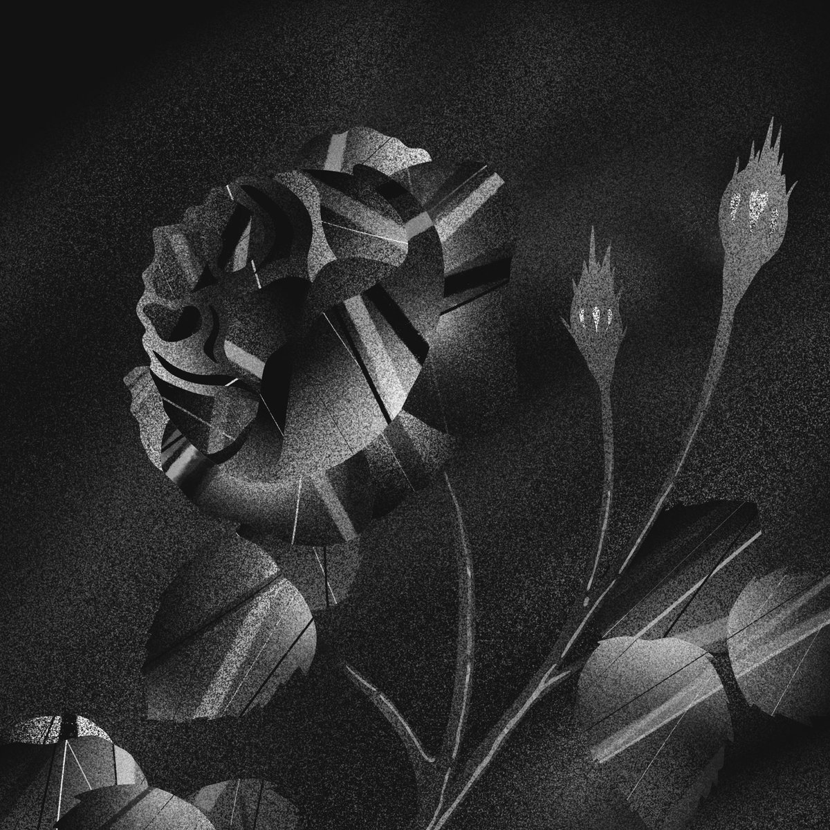 Pete_designs's tweet photo. I drew a black rose because I’m edgy and miss my scene kid days 🤷‍♂️ https://t.co/iZiipW8ZGT