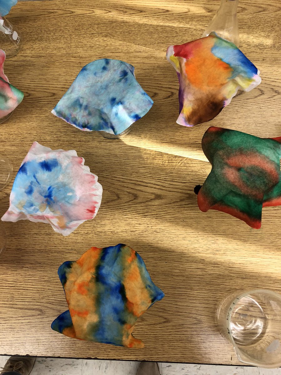 teach2counselor's tweet photo. Paper chromatography ornaments and decorations today. I’m so blessed to have taught these amazing students. @WBMS5 https://t.co/tlimzjTJow