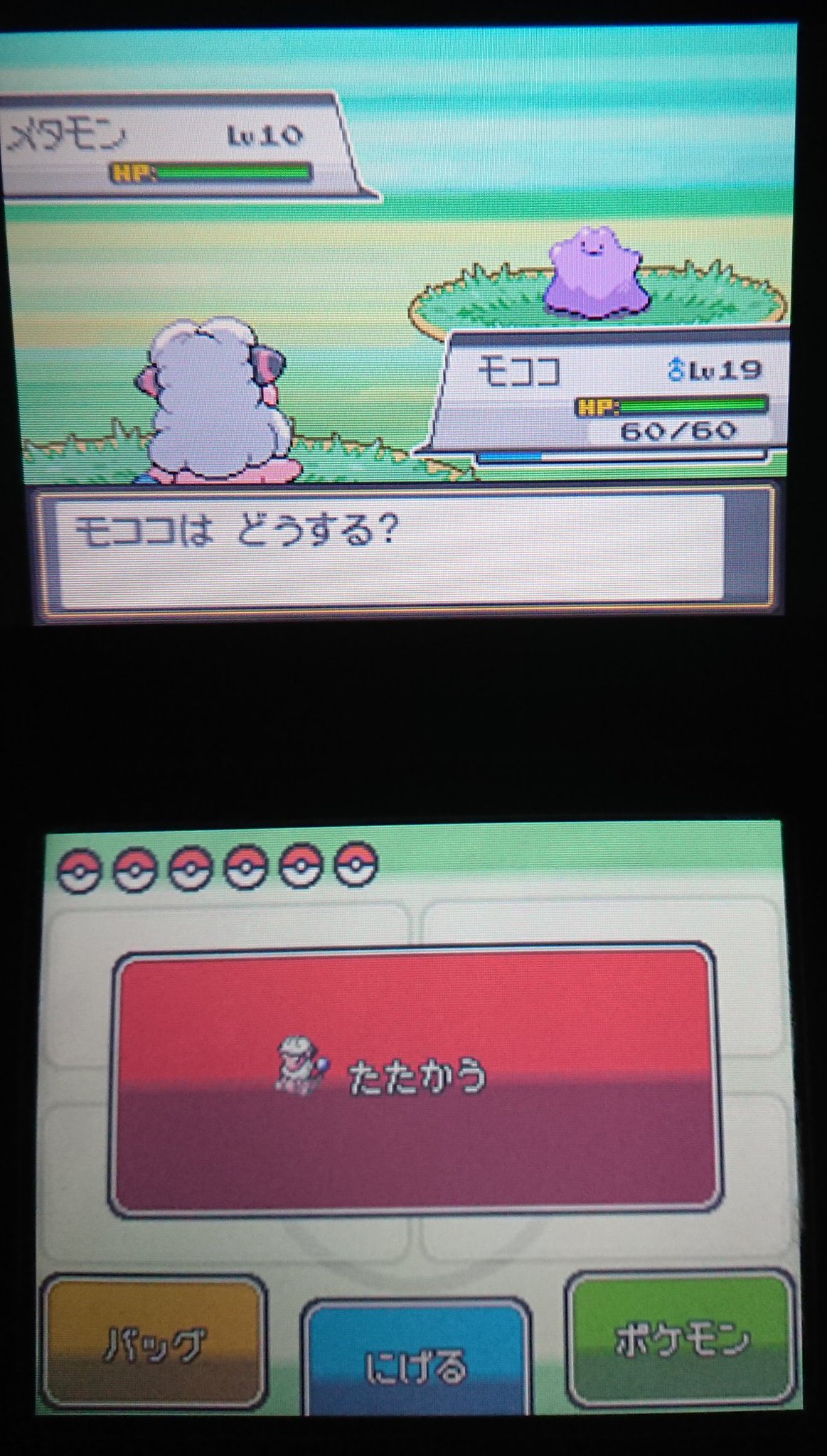 刹那 泡沫夢幻 Pa Twitter ポケモンss で 野生 メタモン 出てきた その確率 5 しかし 今作品で メタモン捕まえてもメリット無いぞ 卵孵化も期待出来ないし ポケモンss メタモン 色違いだとスカイブルー色