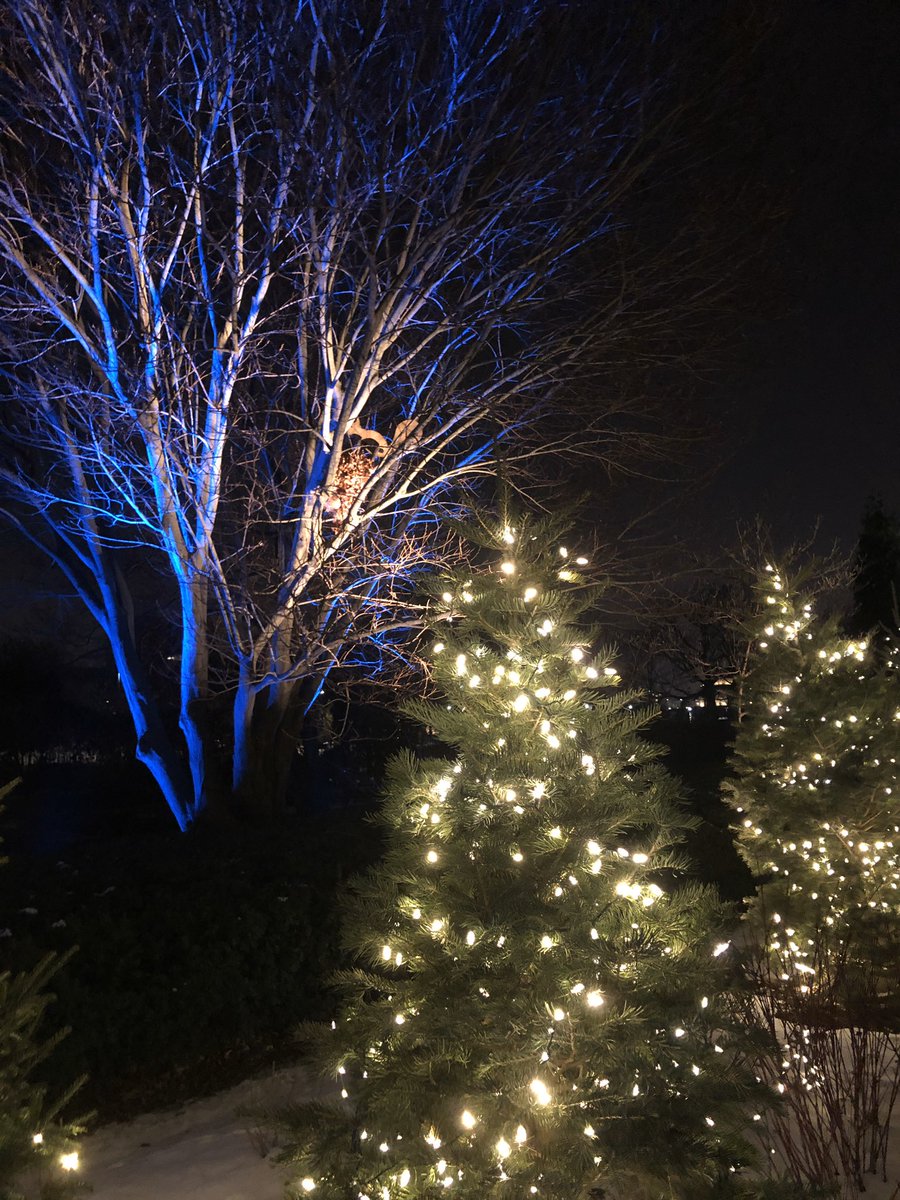 Happy Christmas! #glow #universitycircle #wadeoval #clevelandbotanicalgarden #thisisCLE