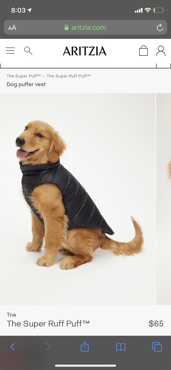 Isajeanveau's tweet photo. Can someone get me a dog for Christmas https://t.co/isThY6OSp2