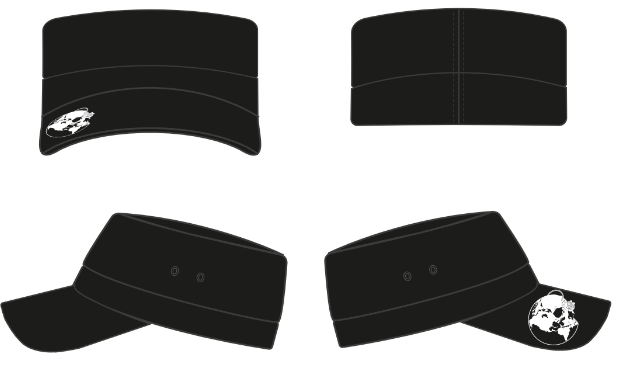 DermalArmor's tweet photo. Something isn't right... 
Working on the designs for the hat.

Version 0.4
#dermalarmor #qainsworld https://t.co/IKcr2AwXs8