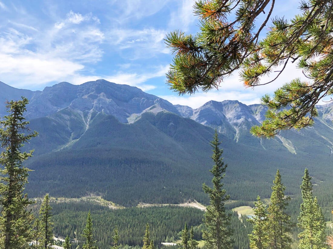 lindork's tweet photo. 🎁GIVEAWAY!🎁 Day 11 of my 12 Days of Christmas is a #CanmoreKananaskis getaway: one-night stay @CoastCanmore Hotel + breakfast + charcuterie for 2!

Follow me + @CoastCanmore + RT this tweet to enter!

More details on blog:
https://t.co/DBttUyCoPI

#yeg #yyc 
#explorealberta https://t.co/9b3TERkYVq