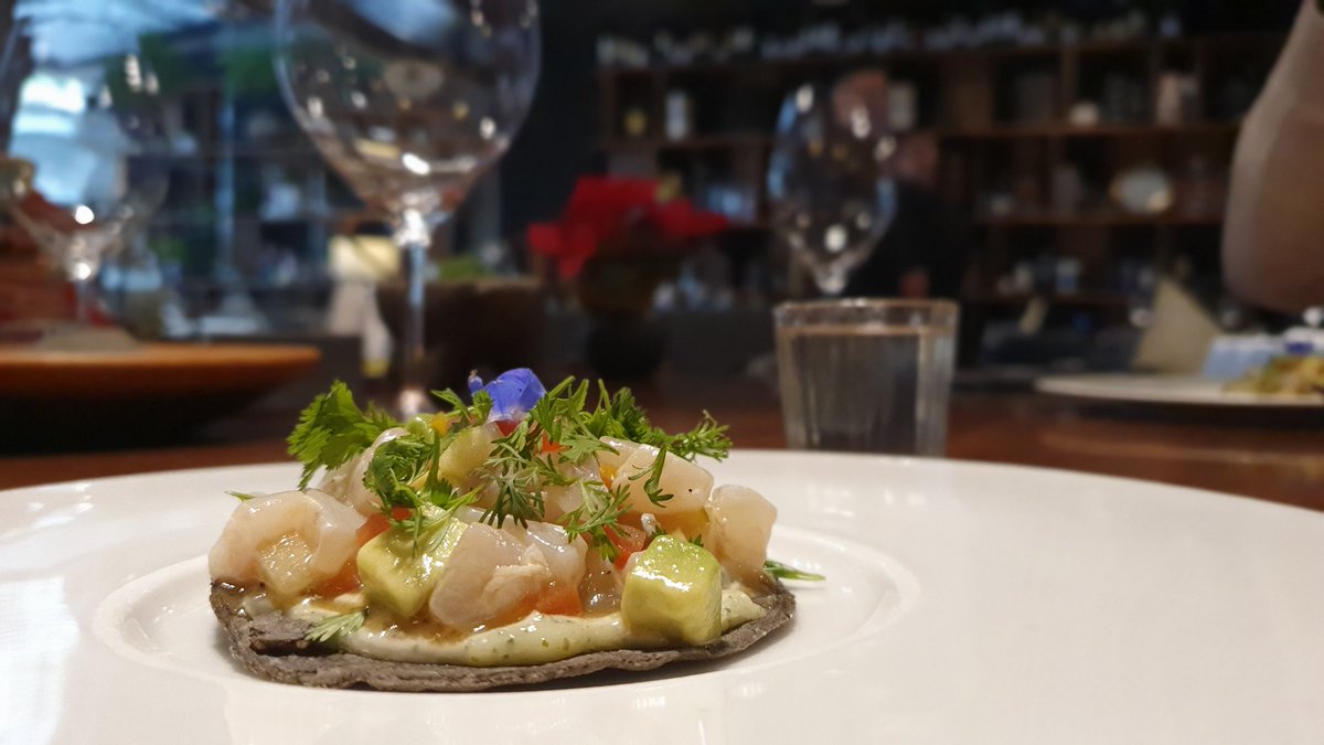 Hoy conocemos la propuesta gastronómica del restaurante <a href="/raizpolanco/">RAÍZ</a> con creaciones de su chef <a href="/israelsmm/">israel montero</a>
#TTinforma #Turismo #gastronomía