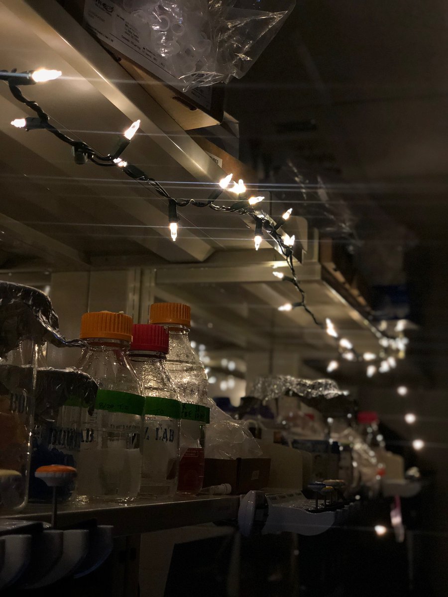 The Spliceosome Zone tweet media