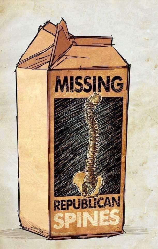 TrueVirgoEnergy's tweet image. #SpinelessRepublicans #SpinelessGOP #RepublicansAreCowards #UnpatrioticSpinelessRepublicans @GOP @SenateGOP @senatemajldr