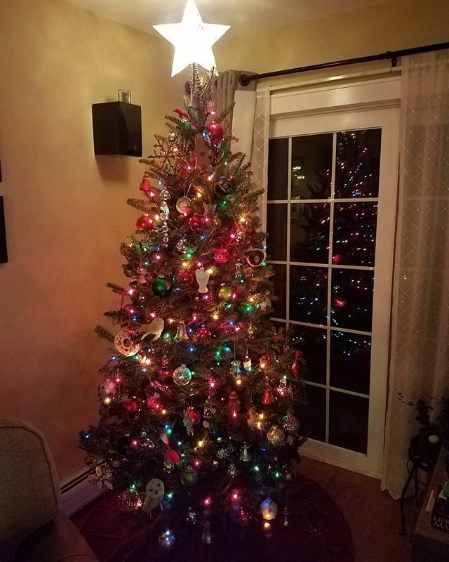 bumpergolf's tweet photo. Happy Holidays! Be on the lookout for our home version in 2020. Also a video with Alaina an I. 
https://t.co/TEzwt9EAHw https://t.co/H88fQo5he2 https://t.co/ylgAOEXp4g