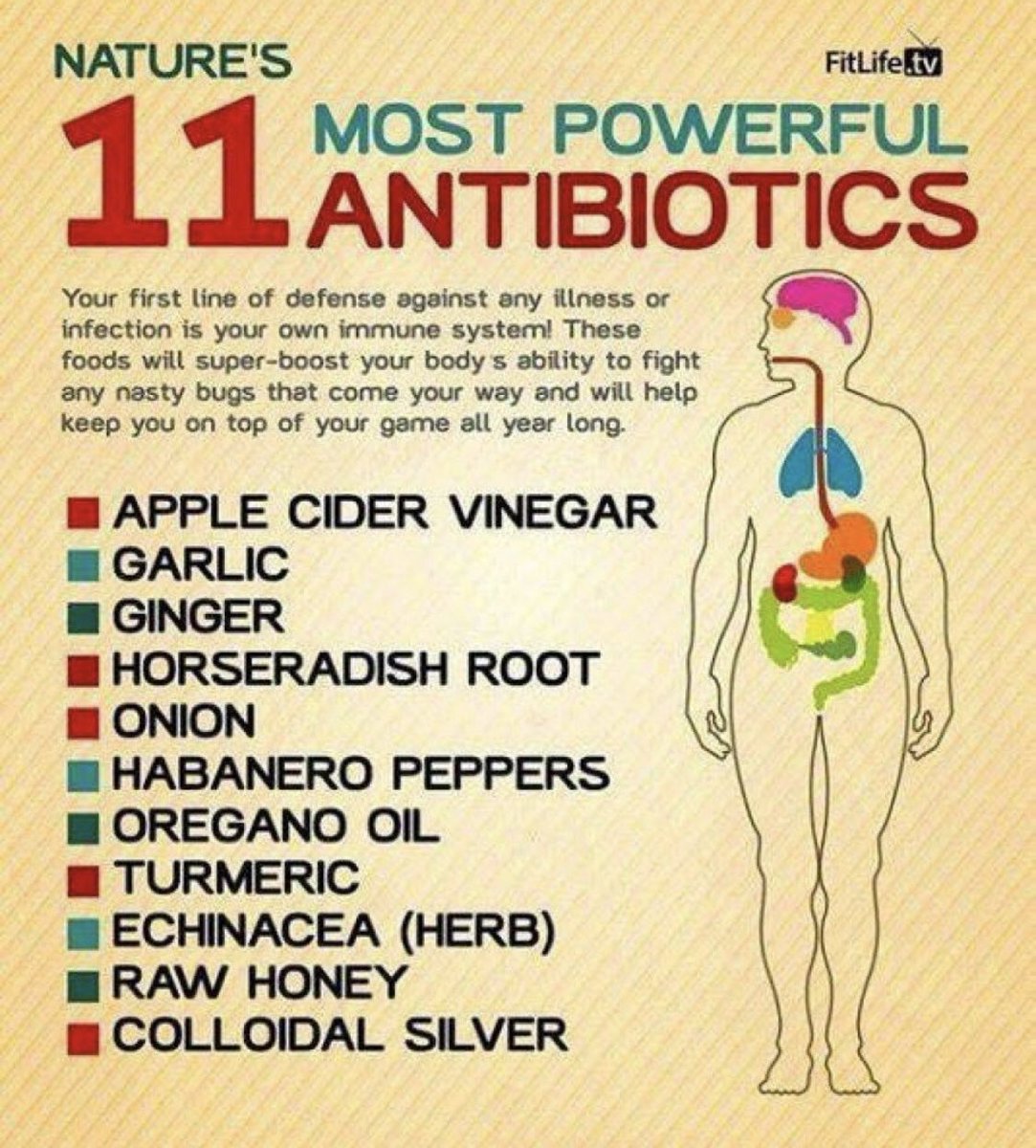Freshnow1's tweet photo. https://t.co/TlTMKm0KWZ #tips #health #HealthyEating #natural #antibiotics https://t.co/2nfS4KSzom