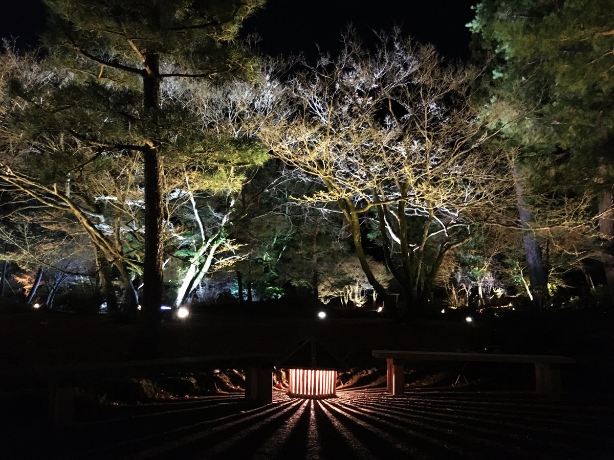 jp_manual's tweet photo. 京都嵐山花灯路で特に印象に残ったのは「#宝厳院」さんと「#法輪寺」さん。いつも見ている風景がまるで別物に変わっていました。😲
Kyoto Arashiyama Hanatouro (Ukyo Ward, Kyoto City)
#京都 #京都市 #右京区 #嵐山花灯路2019 #kyoto #arashiyama https://t.co/mDSXbWqJGk