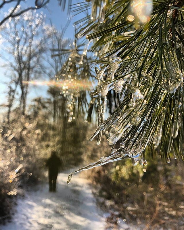 LarkinAndLarkin's tweet photo. winter: deserves more love than it gets 🥶 https://t.co/gTD8SBNOKs https://t.co/Al9KC6e7Lx