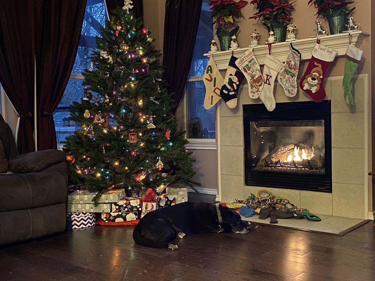 Lizleeper's tweet photo. When your senior citizen doggie finds the best spot for a snooze... https://t.co/3Q4hdF8H7v