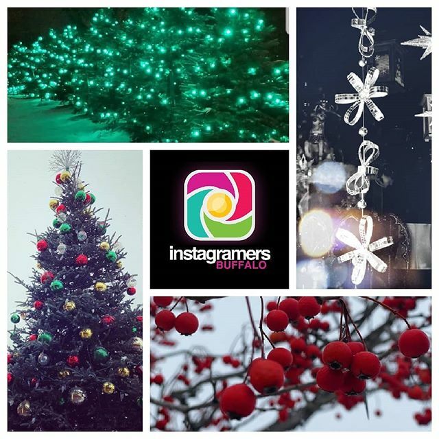 IGersBuffalo's tweet image. Check out these beautiful holiday colors! Thanks for sharing your captures! 📸 by @maria.rizzo.966 , @buffalo366 , @mergs87 , and @for_the_love_of_buffalo

Tag us using #igersbuffalo / #featuremeigersbuffalo for a chance to be featured by us.

#buffal… ift.tt/392oDVm