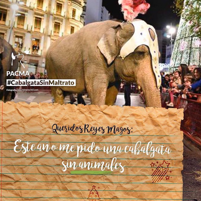 👑🐪🐪🐪 NO queremos animales obligados a recorrer las calles en cabalgatas de Reyes Magos.

📸 ¡Ayúdanos a documentar el maltrato animal en las cabalgatas! ¿Cómo? 👇

1️⃣ Fotos/Vídeo de los animales
2️⃣ Nombre del municipio 
3️⃣ Etiqueta a PACMA o usa el HT #CabalgataSinMaltrato
